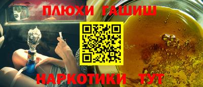 крисы Новокубанск