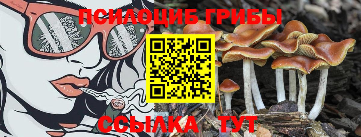 Меф мяу мяу Сызрань